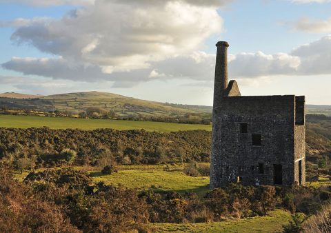 Elephants Nest - Elephant's Nest Inn | Bed & Breakfast On Dartmoor ...